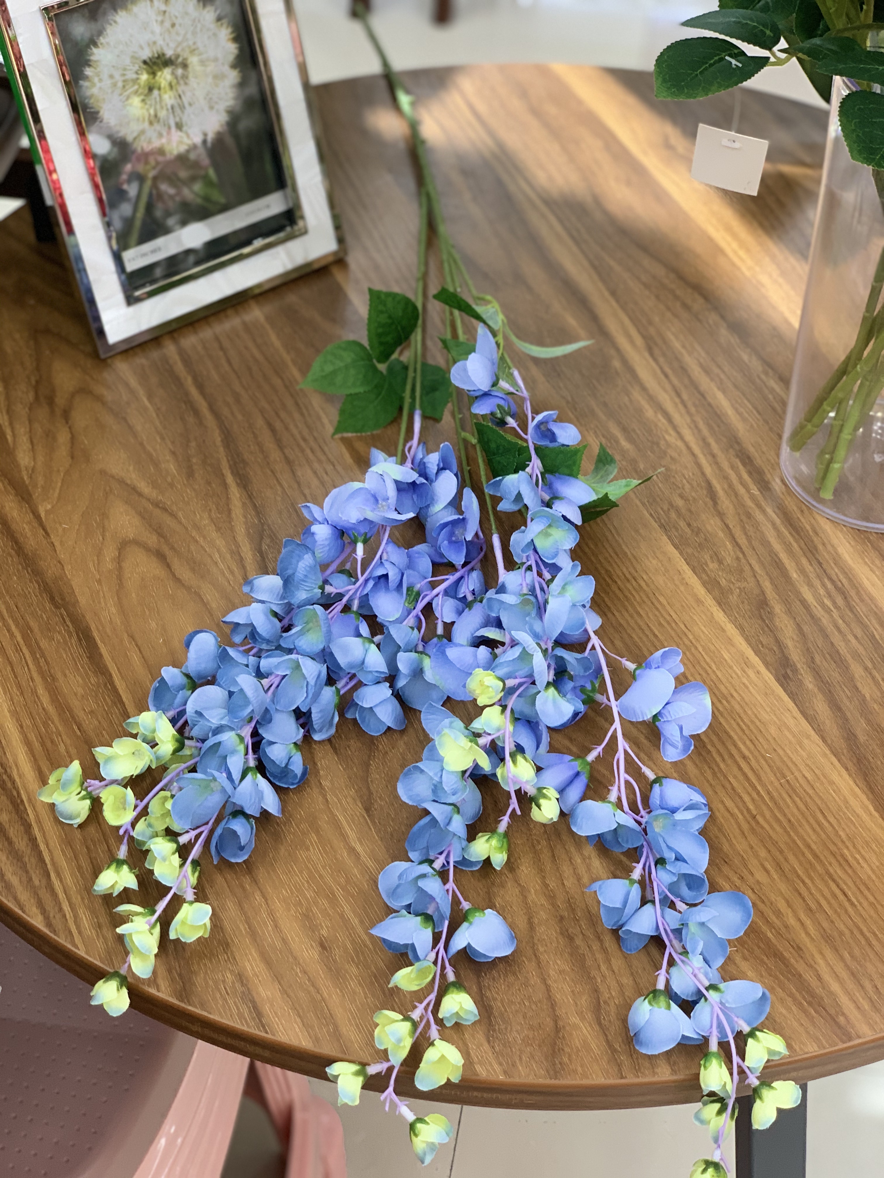 紫荆豆豆详情图4