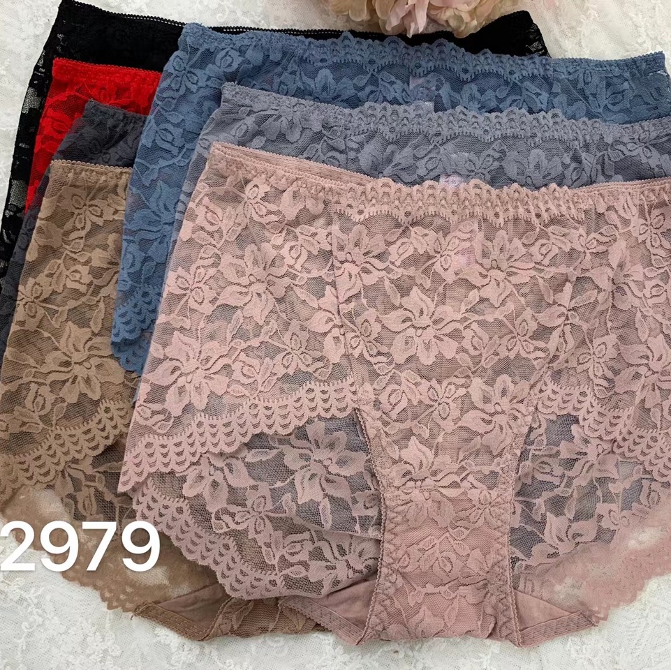 2979新品内裤