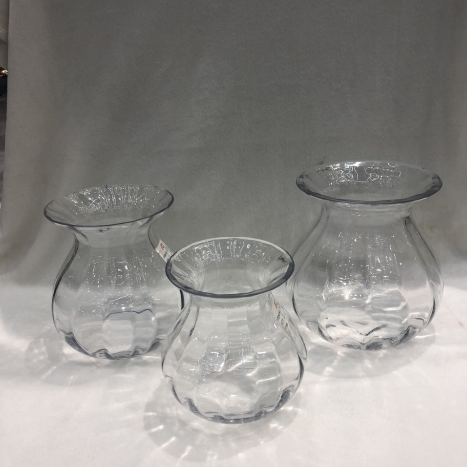 Transparent round belly glass vase goldfish bowl Green flowers hyacinth hydroponic plant terrarium