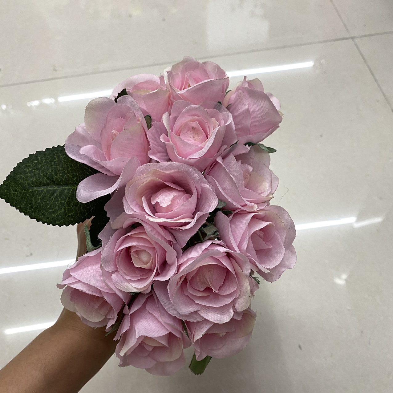 Pink crinkle rose