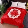 blanket2022厂家直销新品爆款批发大红色超柔毛毯图
