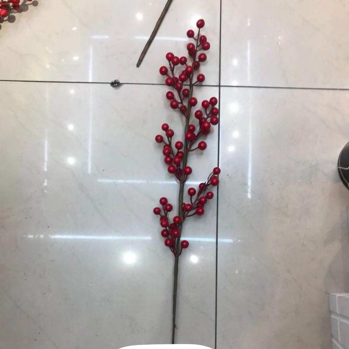 Large red fruit thumbnail