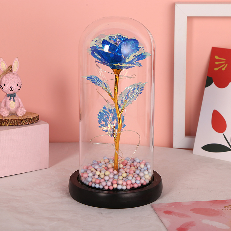 Glass cover 2222