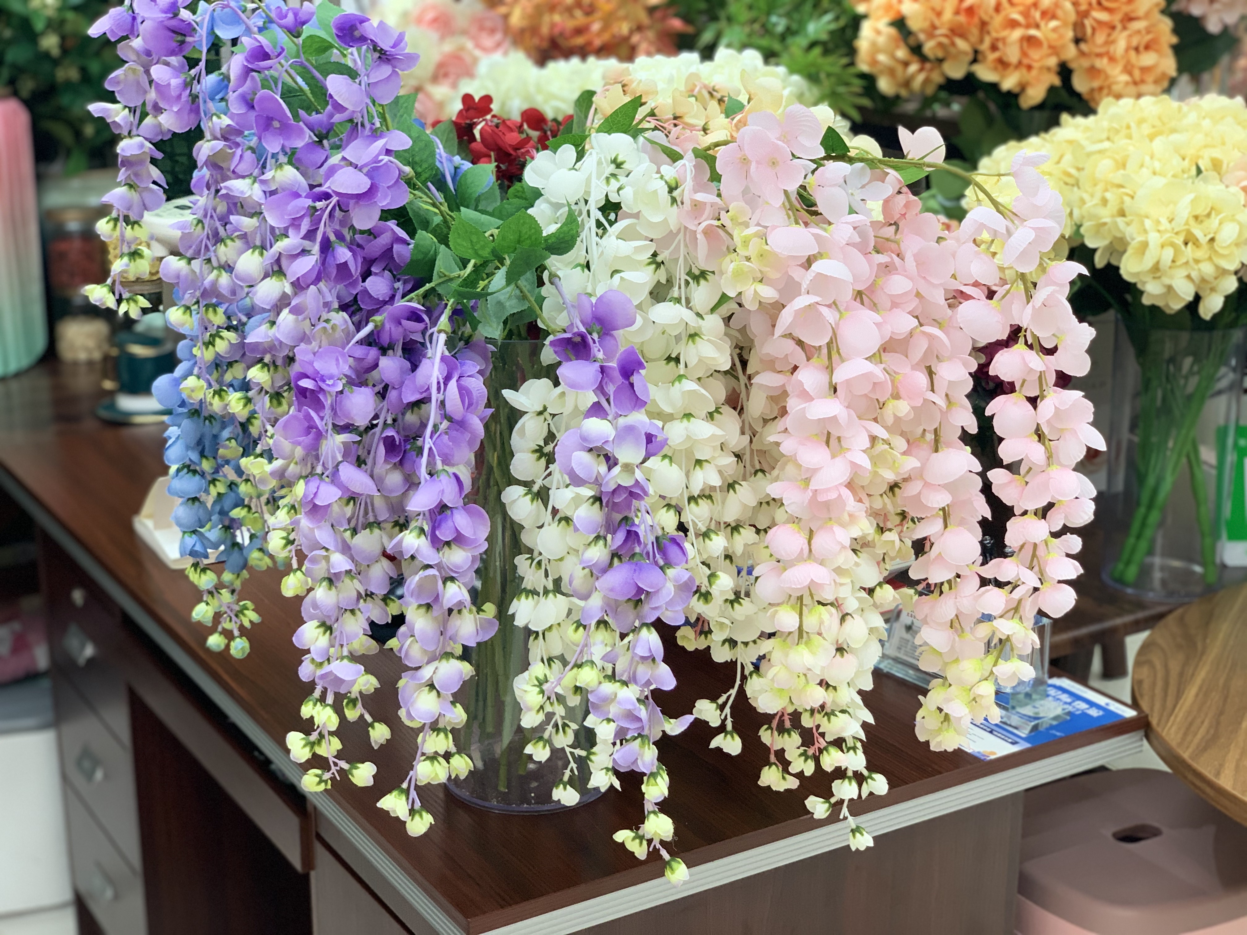 紫荆豆豆细节图