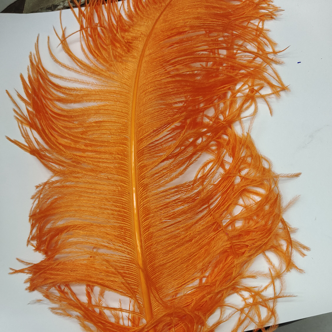 Ostrich feathers 65 ~ 70 thick orange