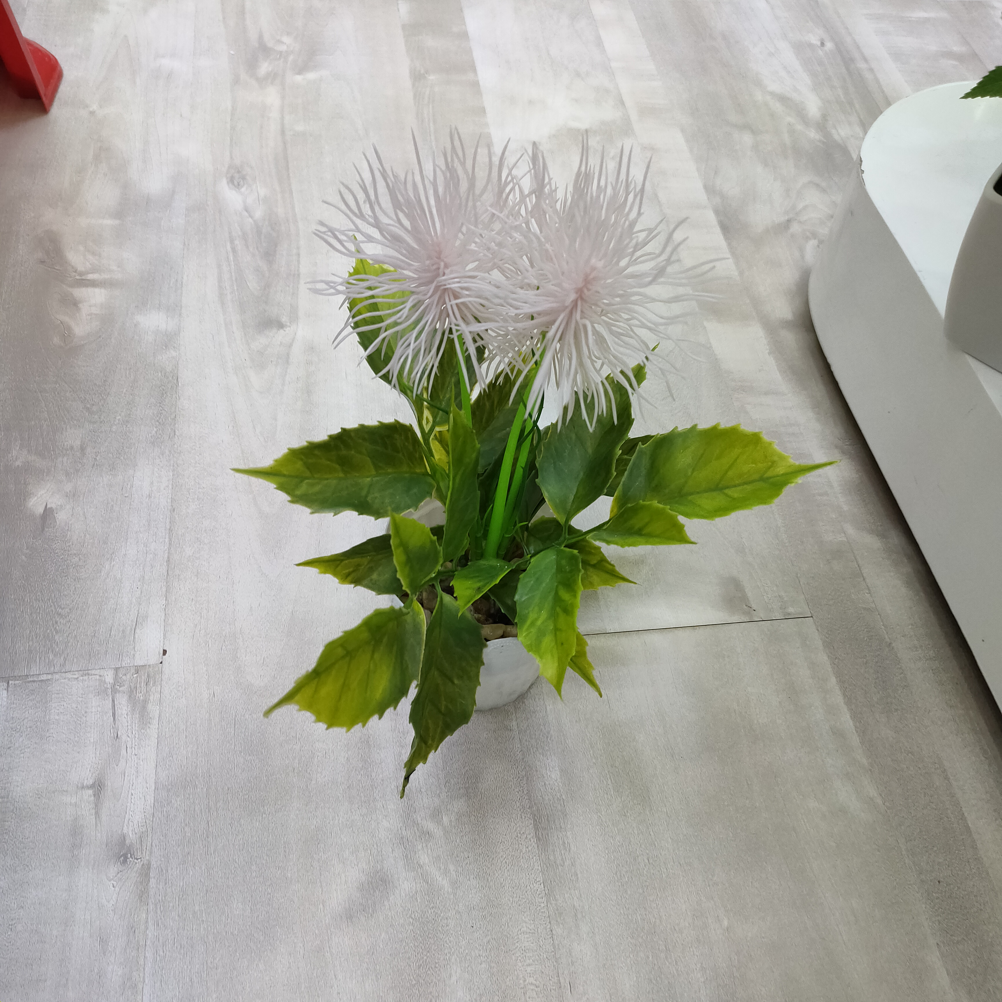 Flower 3 thumbnail