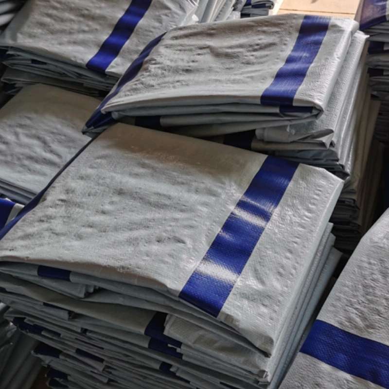 Rainproof tarpaulin, tarpaulin 4*6 details Picture