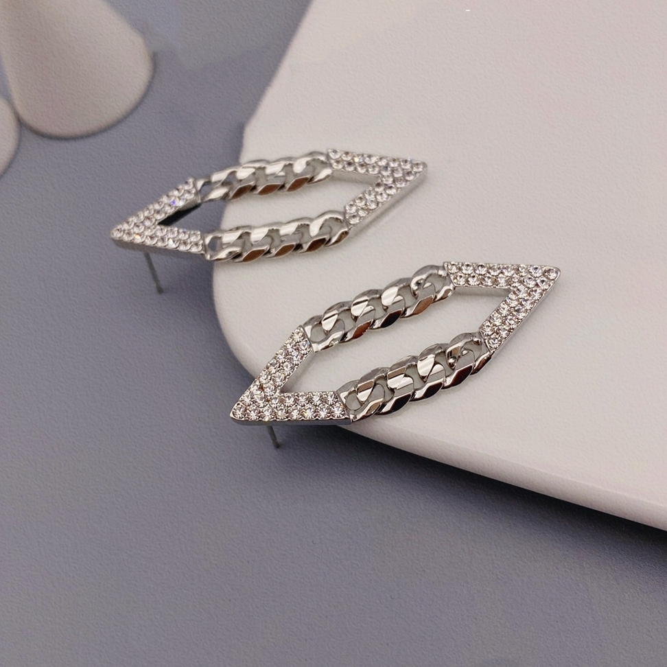 Exaggerated metal chain earrings with a niche design sense from Europe and America, cold and individualistic style earrings, and new trendy stud earrings