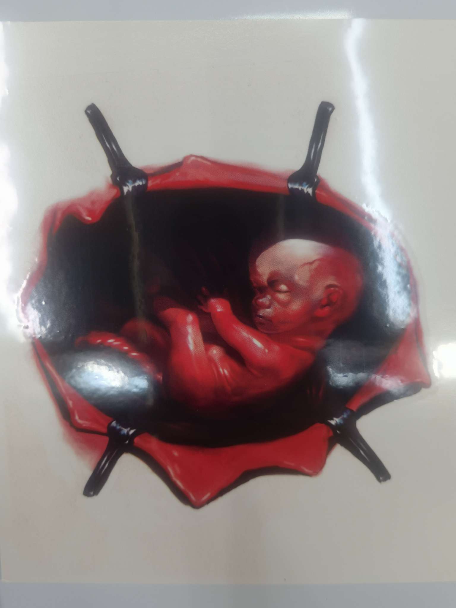 纹身贴纸/假伤疤贴/仿真纹身贴细节图