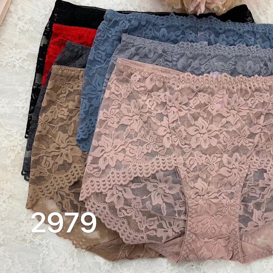 2979新品女内裤