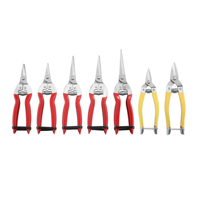 园林工具园林剪不锈钢刀头多规格果枝剪摘果剪101