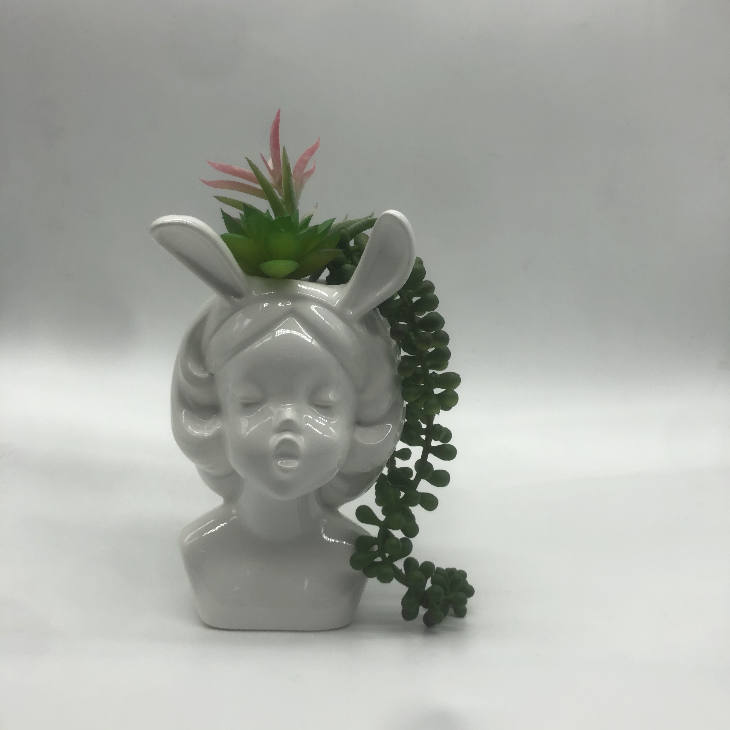 安妮宝贝陶瓷花盆1 厂家直销 松木76款1