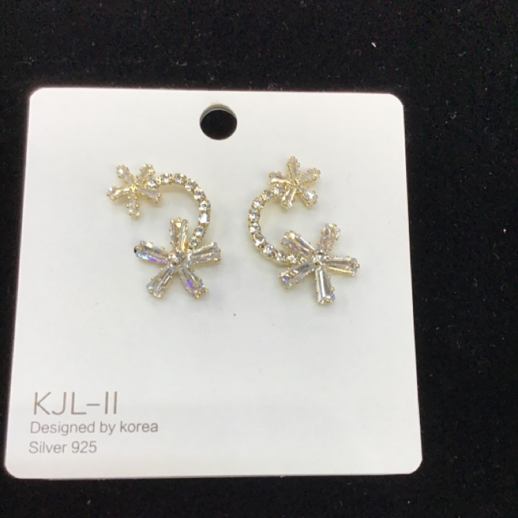 Earrings bbb