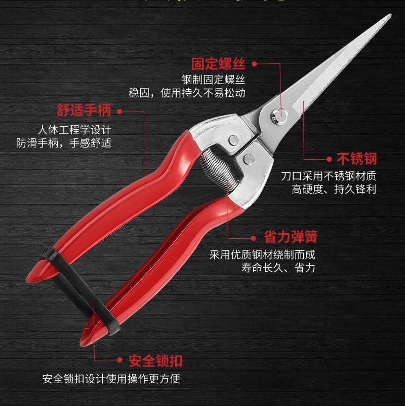 Garden tools Garden scissors Stainless steel knife tip fruit branch scissors Fruit picking scissors