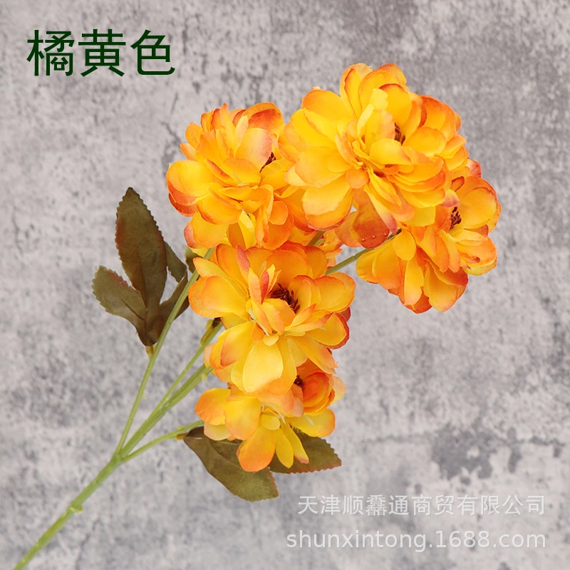 橘黄色