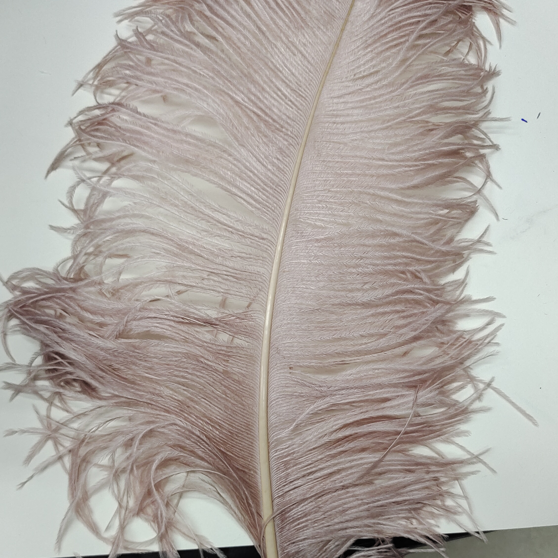 Ostrich feathers 45-50 cm thick flesh pink