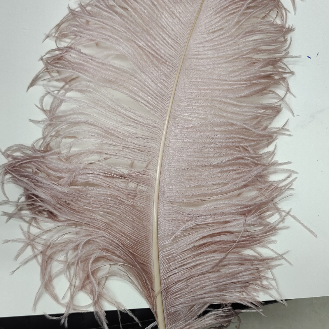 Ostrich feathers 50-55 cm thick flesh pink
