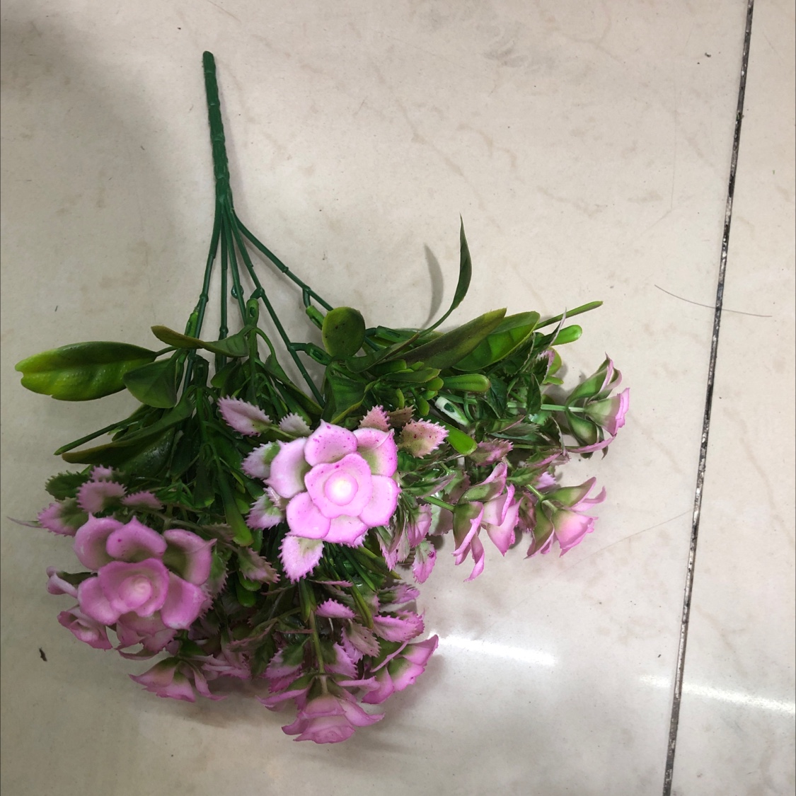 小茶花1