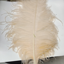 Ostrich feathers 50-55 cm thick stem snow bud color