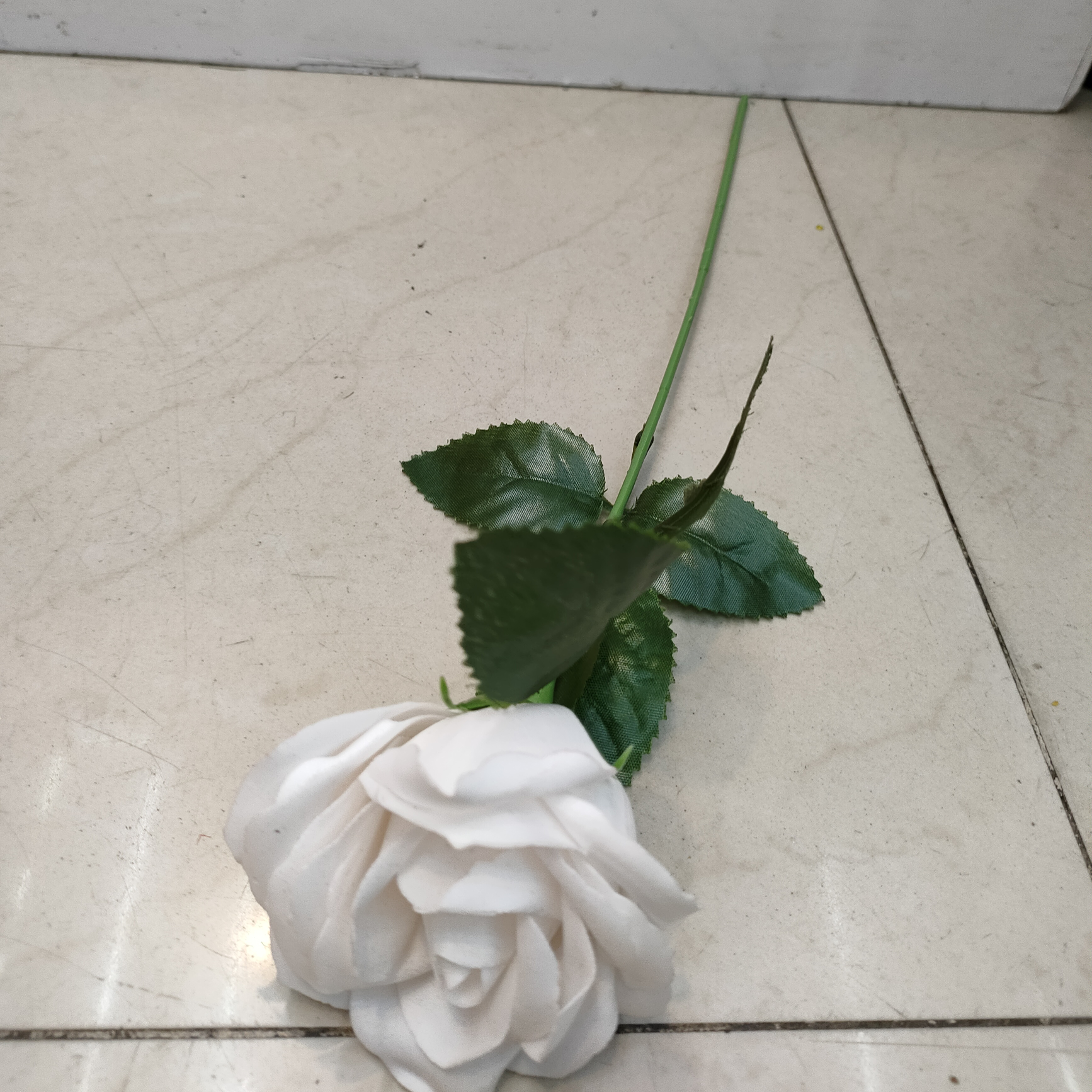 Single rose 12