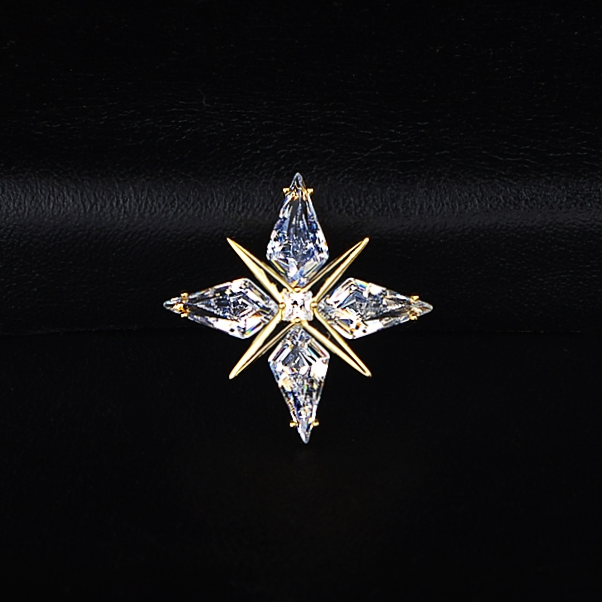 The star pin in the night