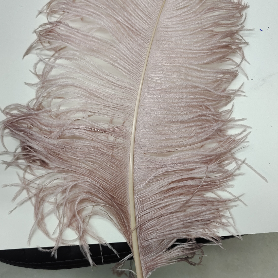 Ostrich feathers 40-45 cm thick flesh pink
