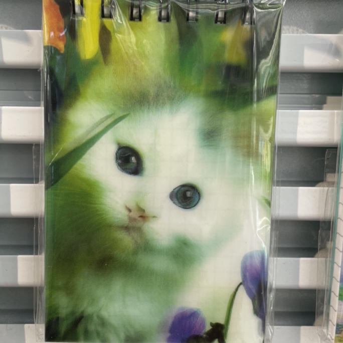 Flowers meow coil Ben