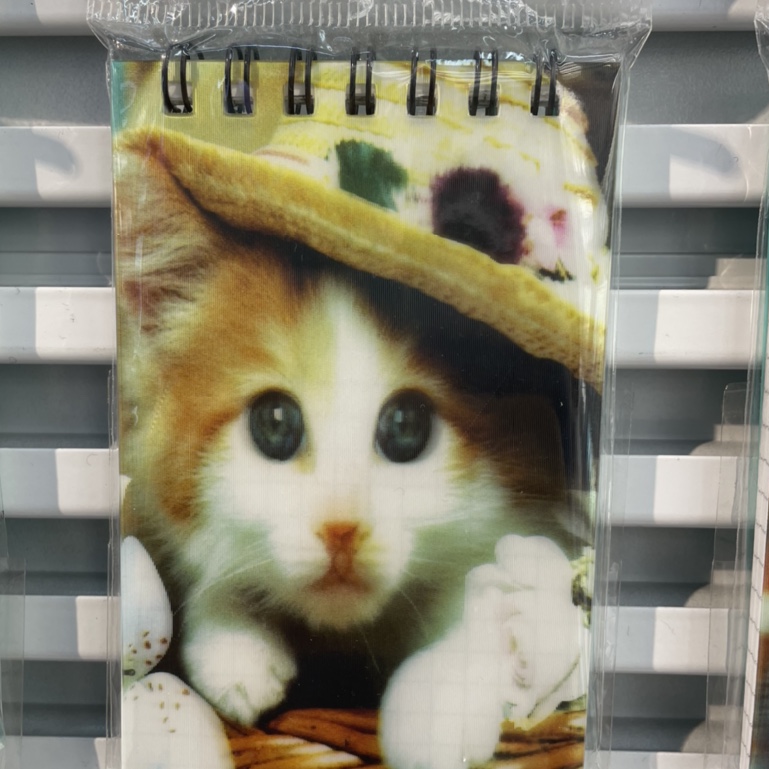 Straw hat meow coil Ben