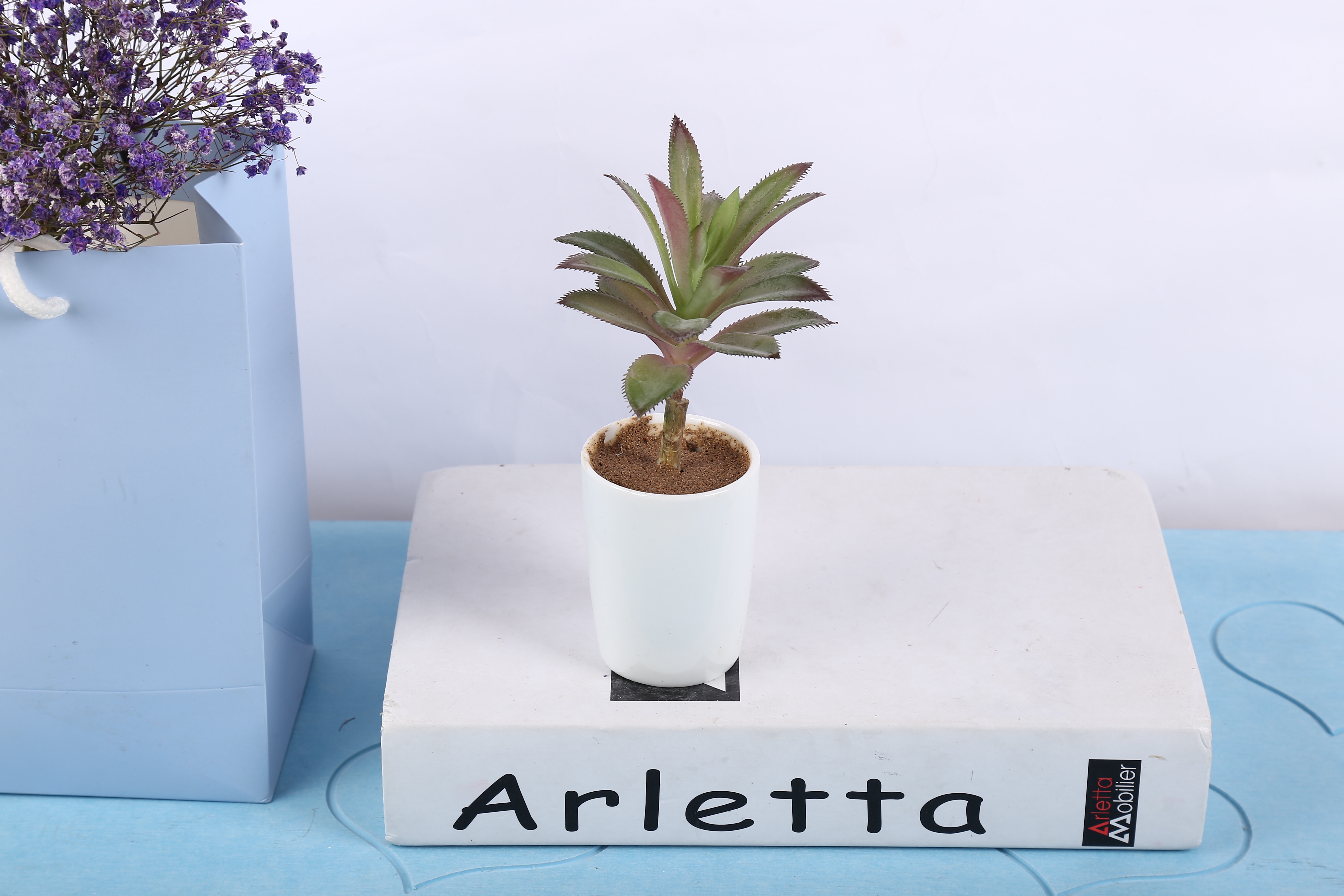 Wholesale of creative artificial plant ornaments Application Scenario