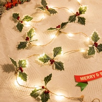 Christmas lights led lights String Christmas red fruit copper wire light Mushroom pine needle pine cone ball bell Christmas decorative light Christmas fruit 2.20m light