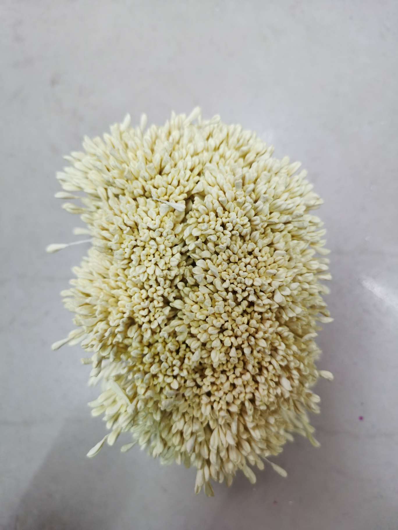 Milky white rose core. Malt core detail image 3