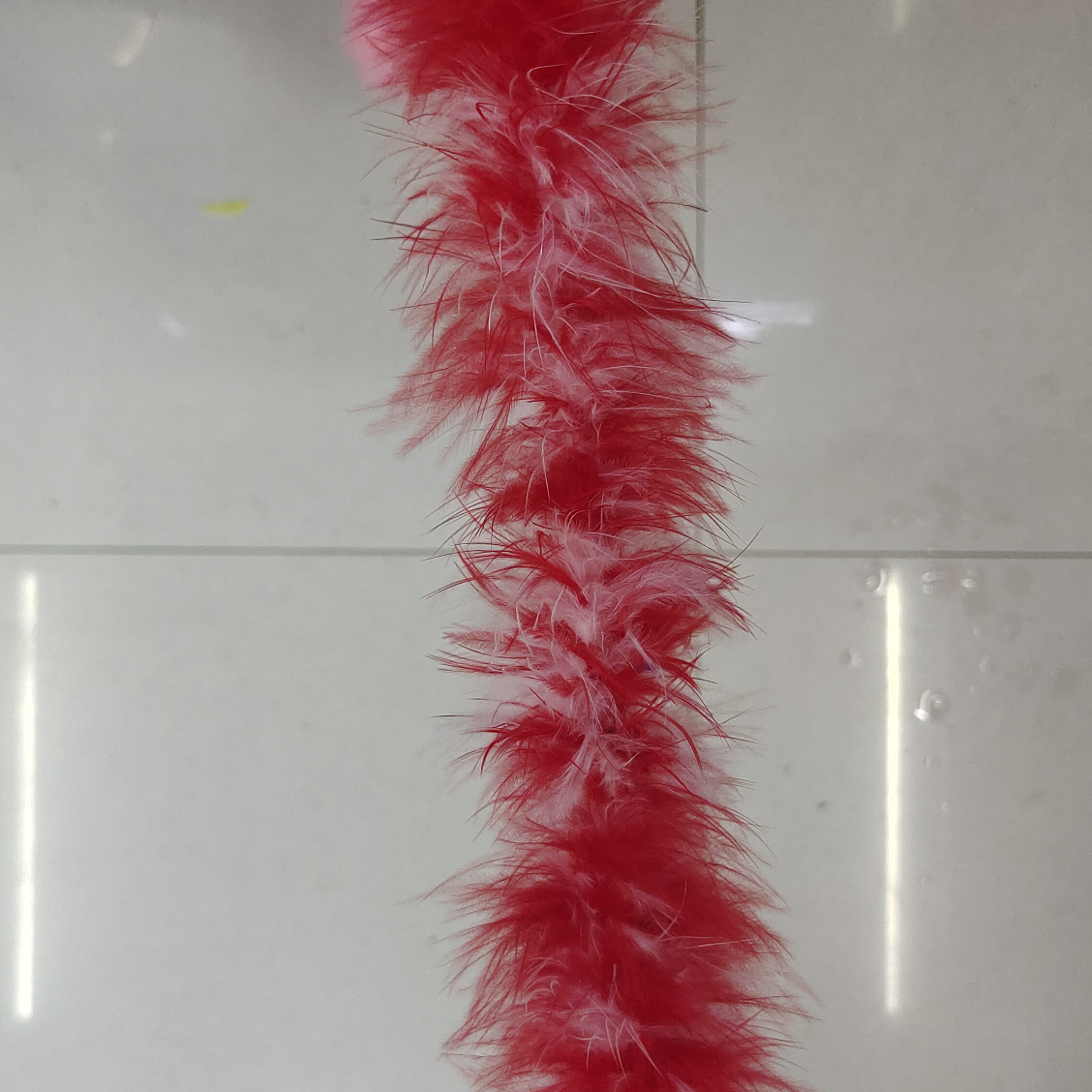 火鸡首毛毛条两米一条白加大红