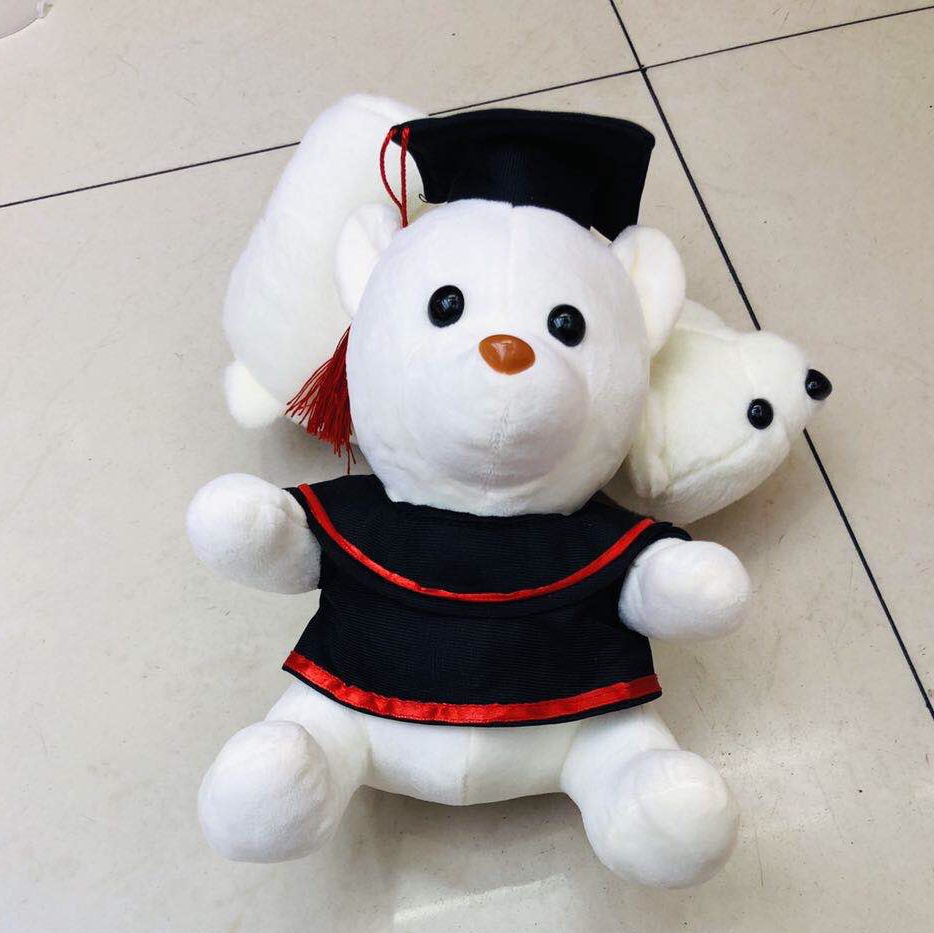博士能6