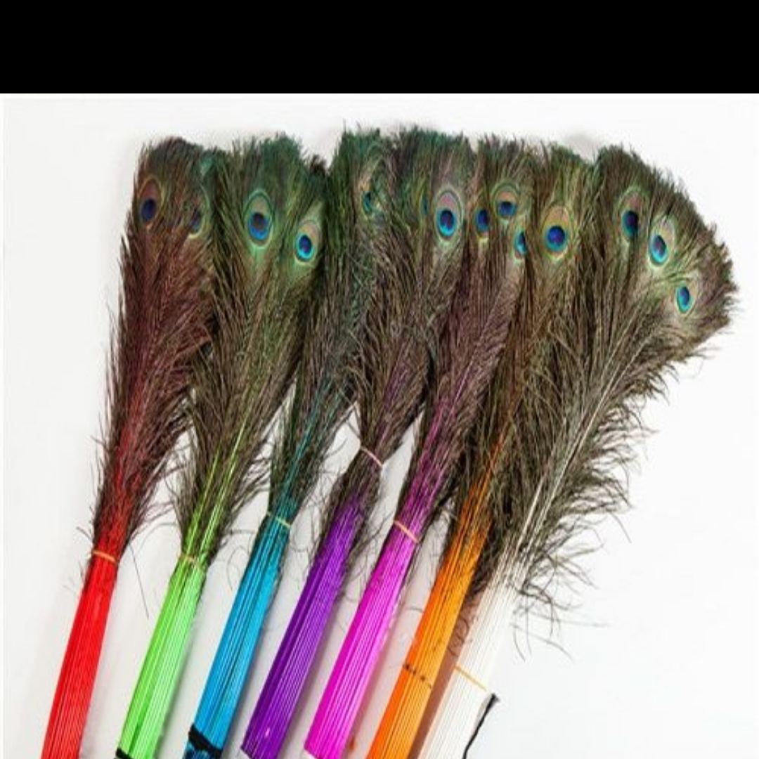 Peacock feathers straight dyed 80-90 cm green
