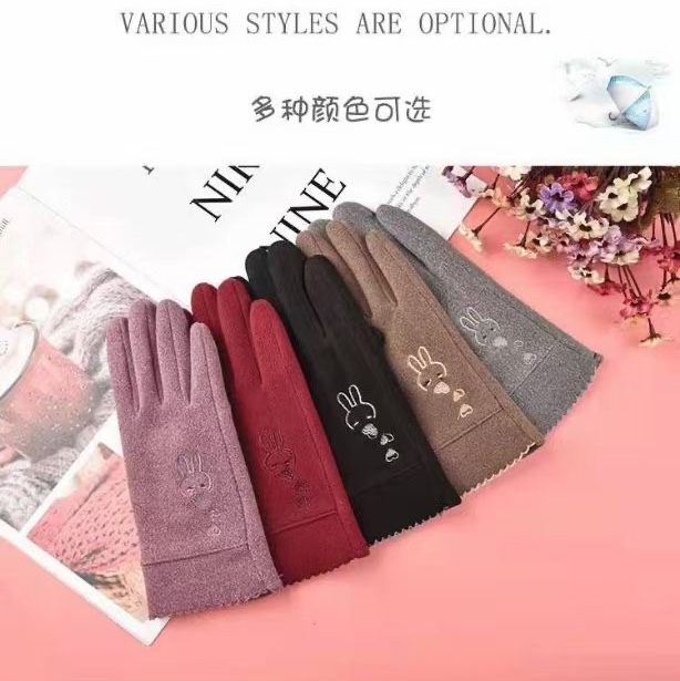 Gloves women exquisite short warm touch screen points riding high-quality suede fashion match old and young