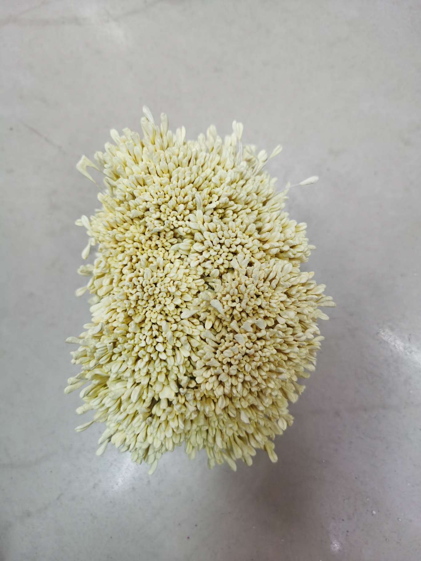 Milky white rose core. Malt core detail image 1