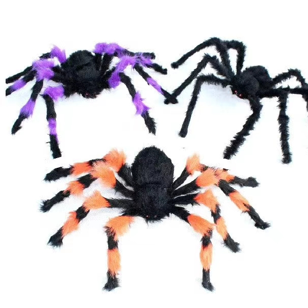 毛蜘花蜘蛛75公分