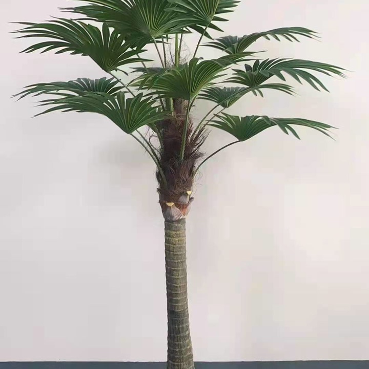 树