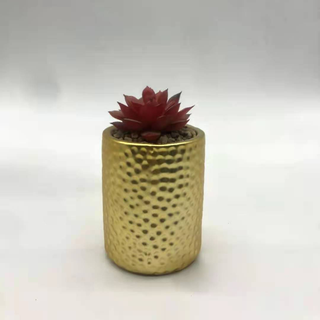 陶瓷多肉带植物花盆1 厂家直销 博端82款