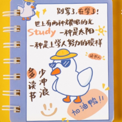 Surfduck laptop