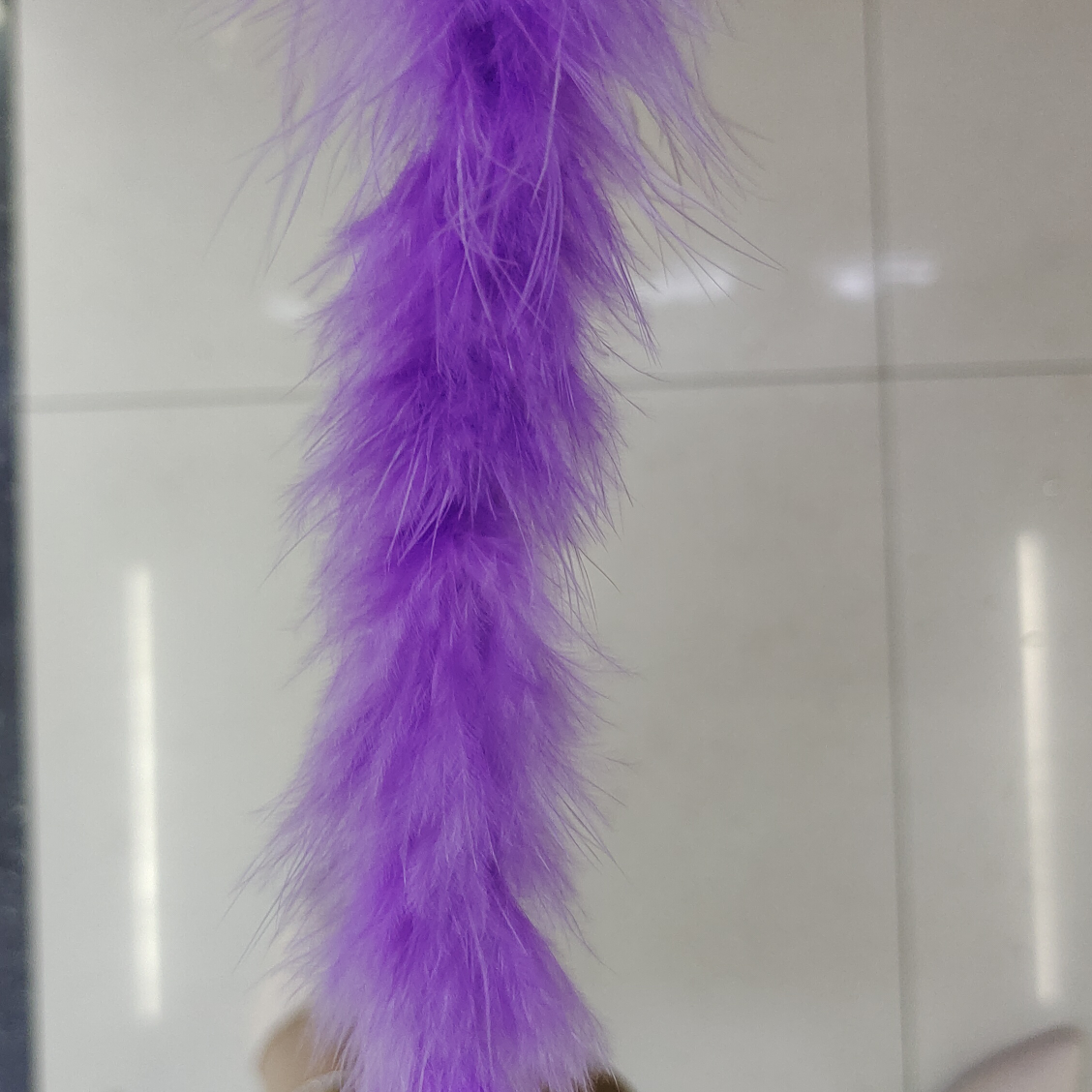 火鸡首毛毛条两米一条紫色