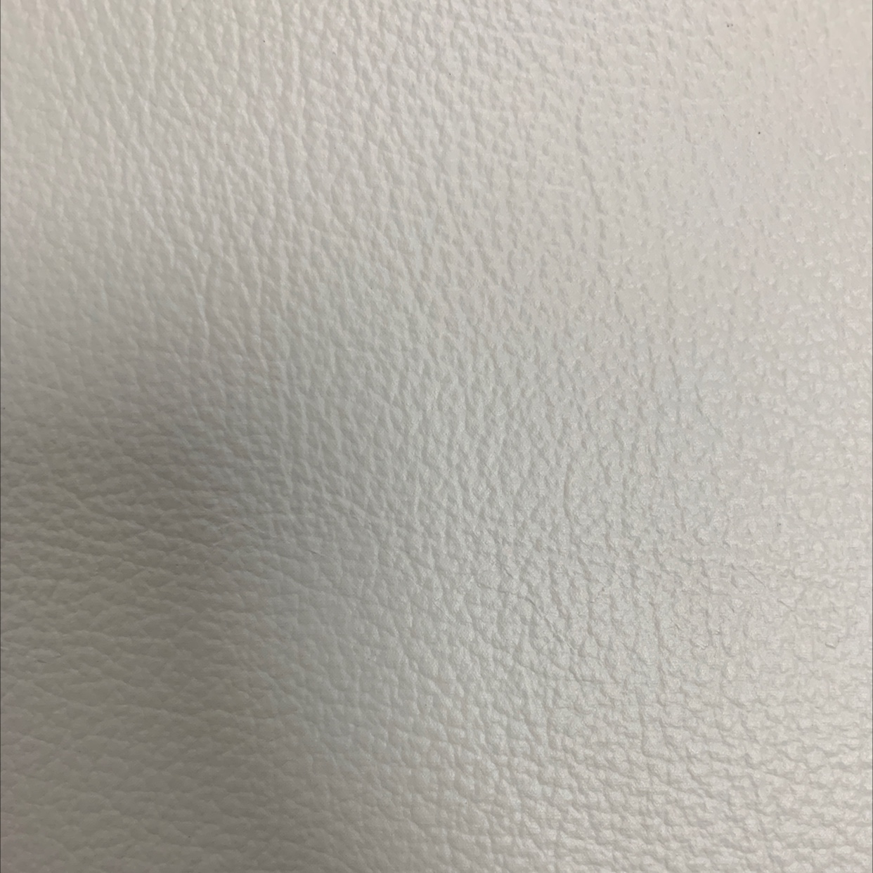 Ａ239