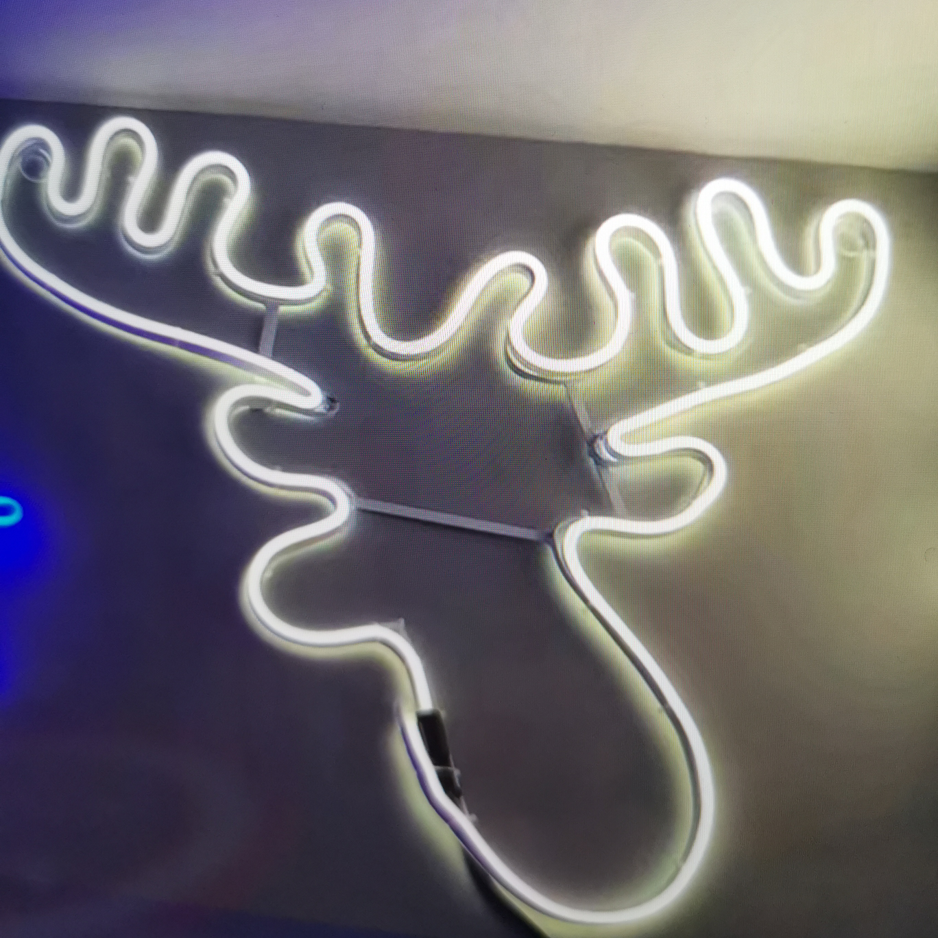 Deer head