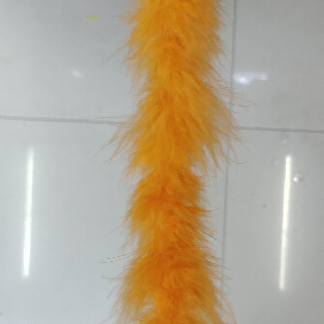 火鸡半绒羽毛条橘黄色