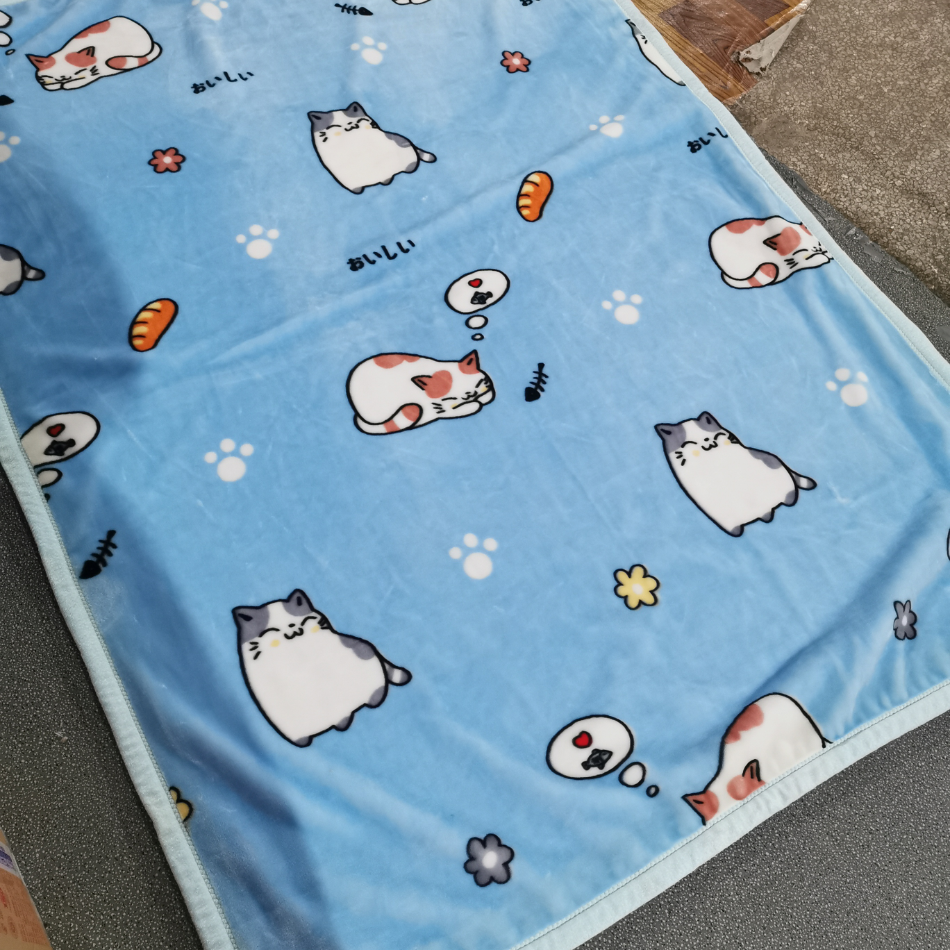 Cartoon Velvet Blanket
