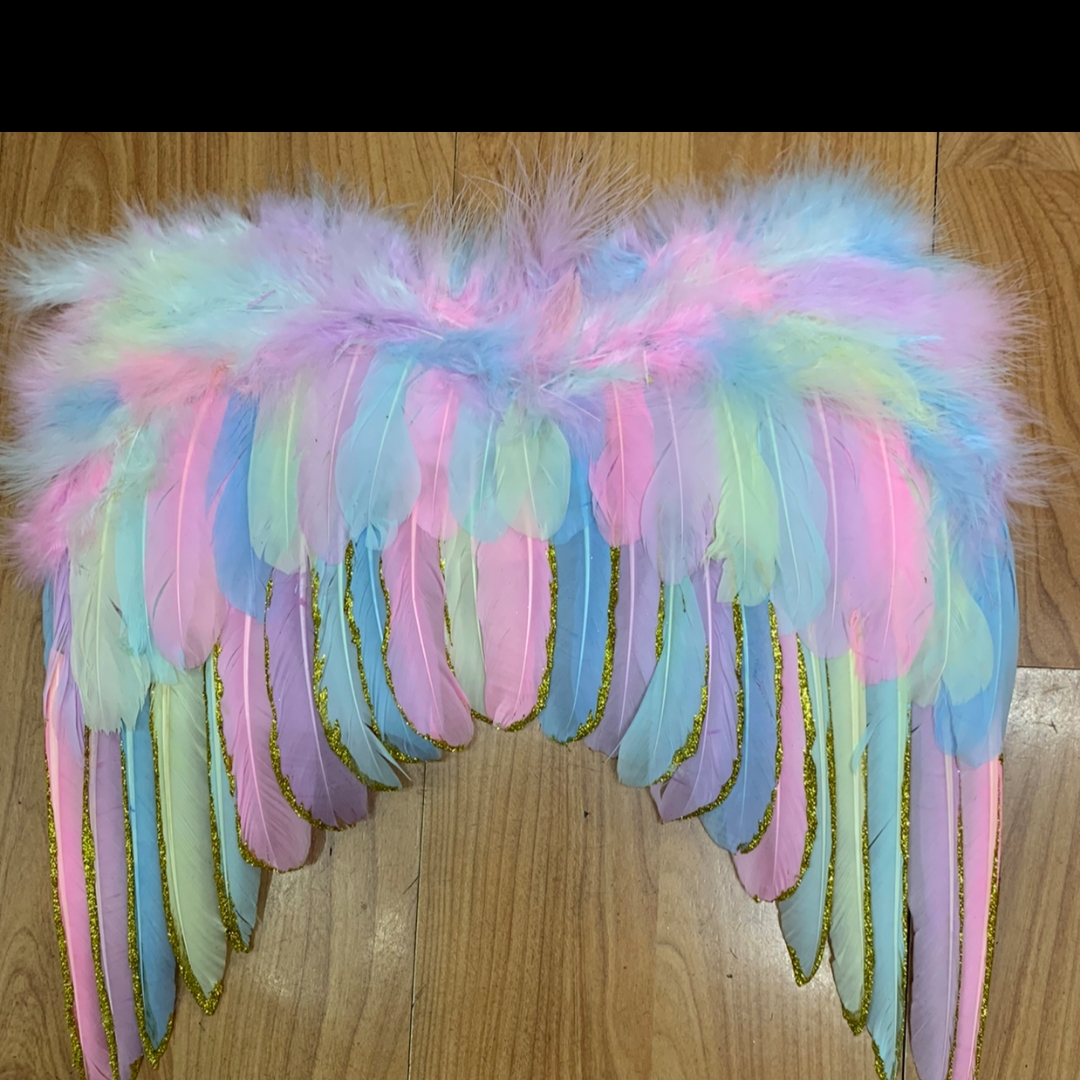 Angel feather wings medium color