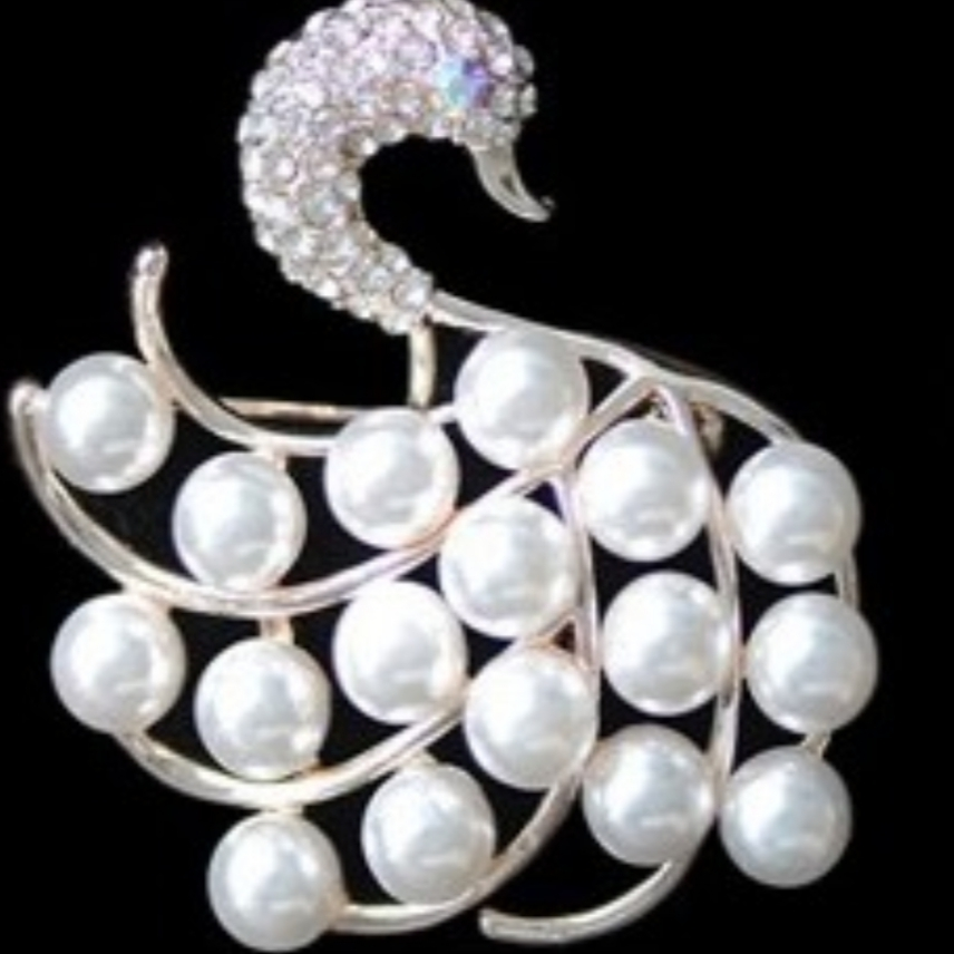 Fashion Brooch 0121
