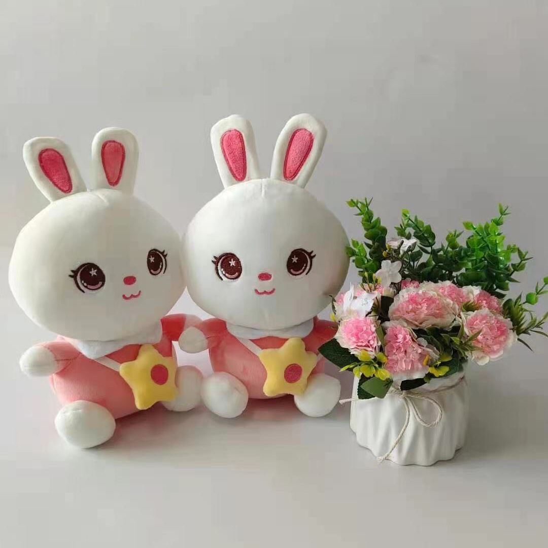 Conejo de 20cm lleva bolsa pequeña peluche lindo juguete visionario 01