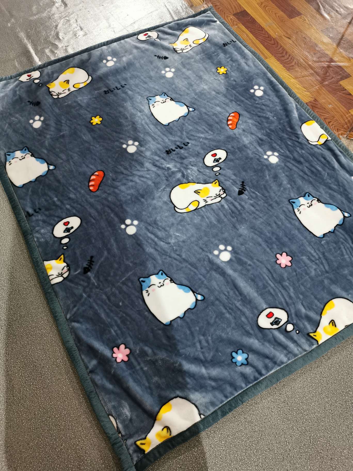 Cartoon Velvet Blanket details Picture