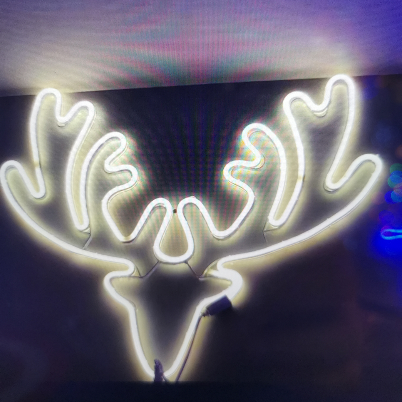 Flat deer head
